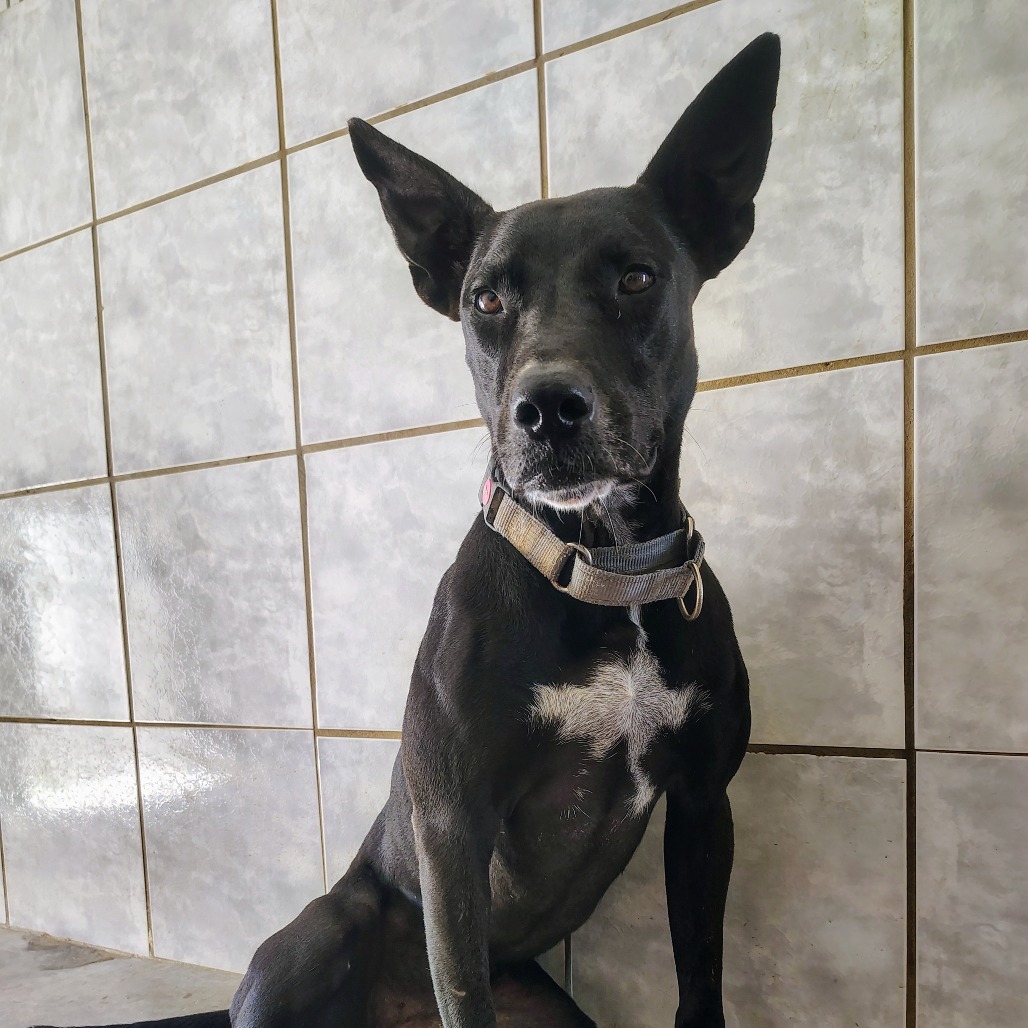 Max