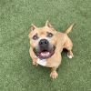 Nala photo 1
