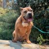Nala photo 5
