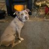 Marsha photo 6