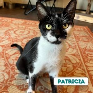 Patricia