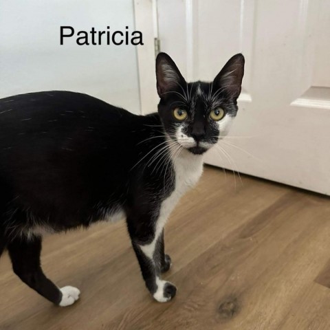 Patricia