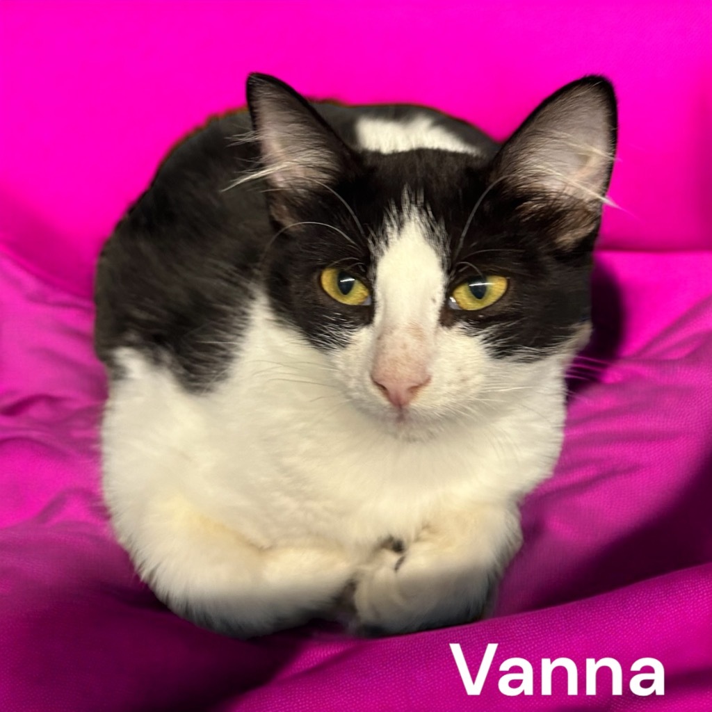 Vanna