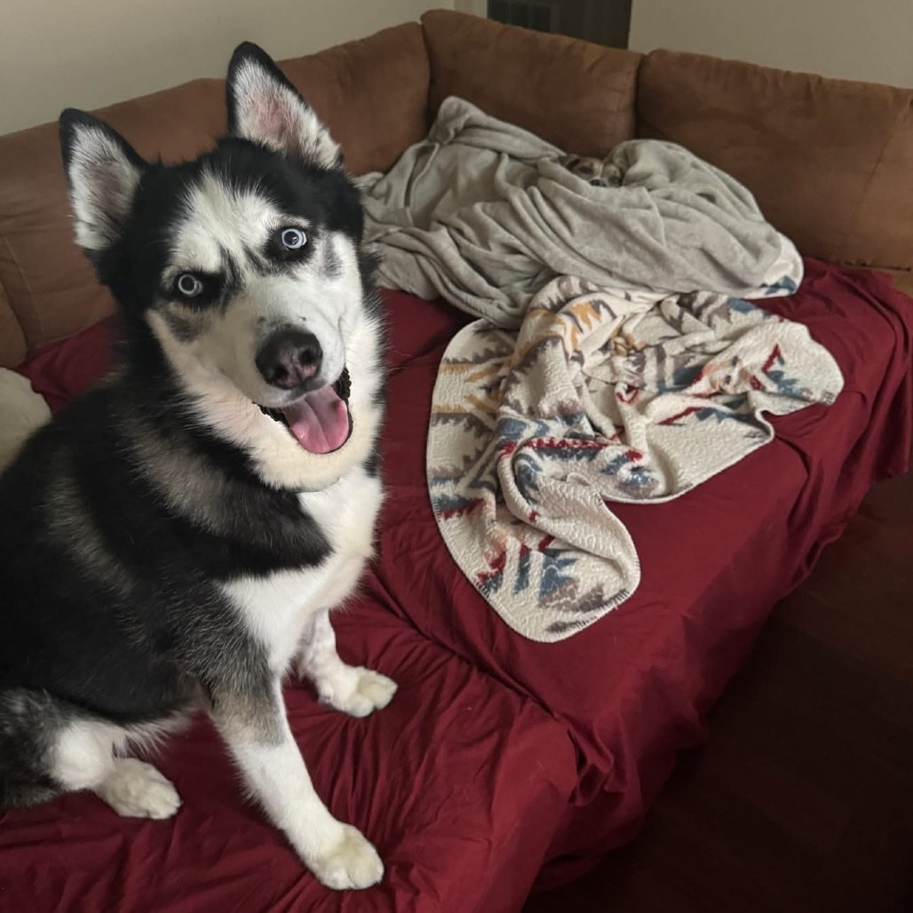 Loki