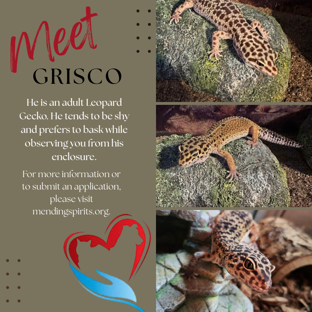 Grisco