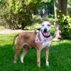 Sadie photo 1