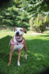 Sadie photo 3