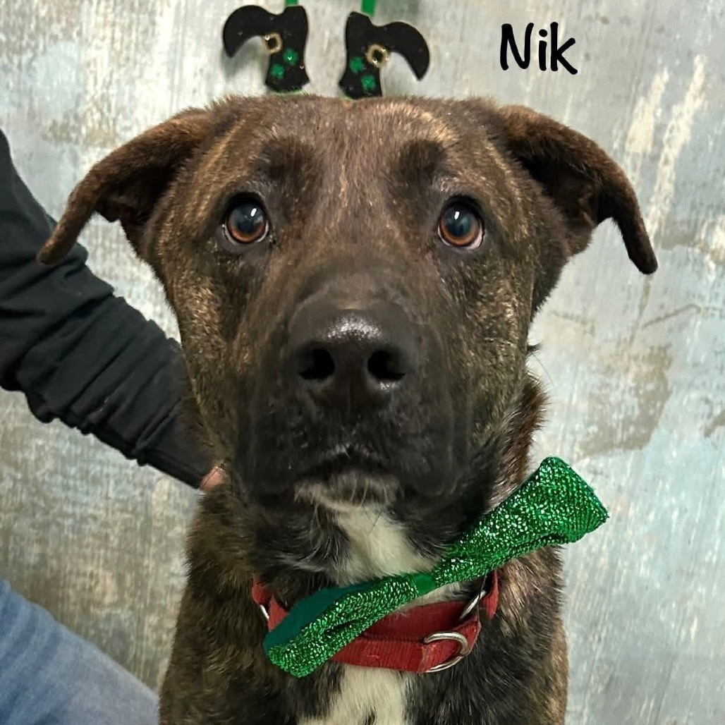 Nik