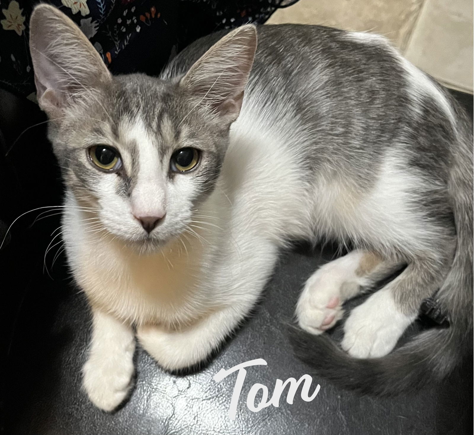 Tom #loves-life