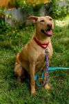 Bob Barker photo 3