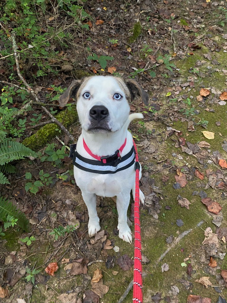 Casper