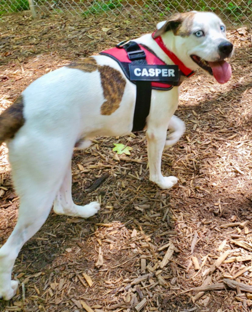 Casper