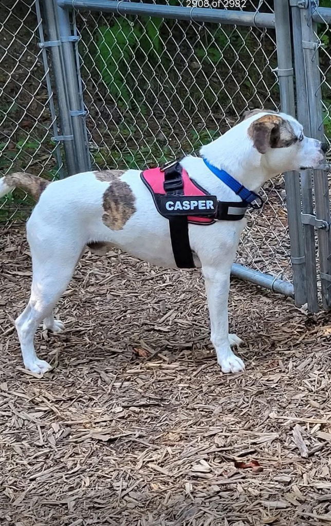 Casper