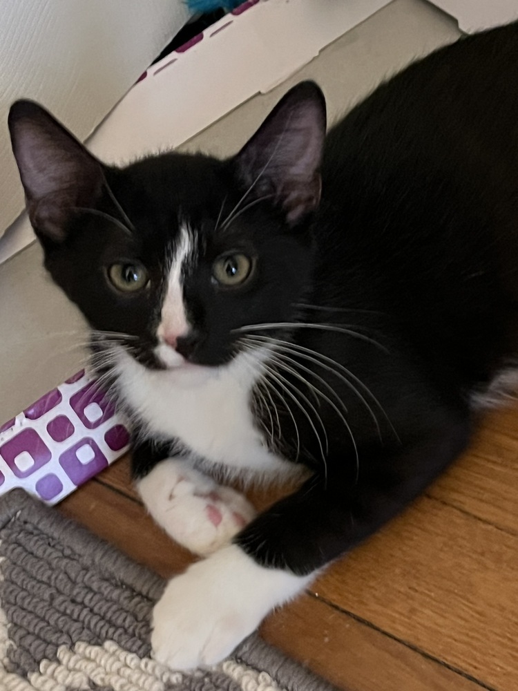 Tux