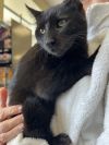 Miss Magoo 4672 photo 1