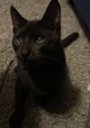 Miss Magoo 4672 photo 3