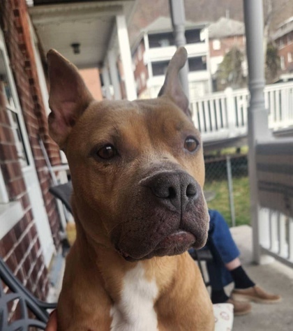 Lola May