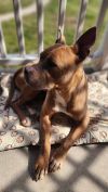 Lola May photo 3