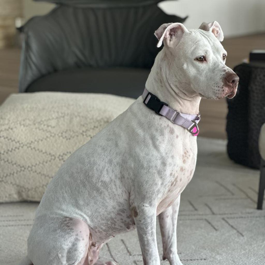 Lyla Juliet