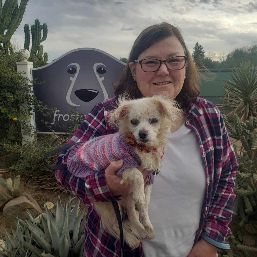 Hope, an adoptable Maltese in Ramona, CA, 92065 | Photo Image 2