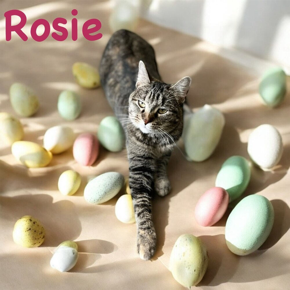 Rosie