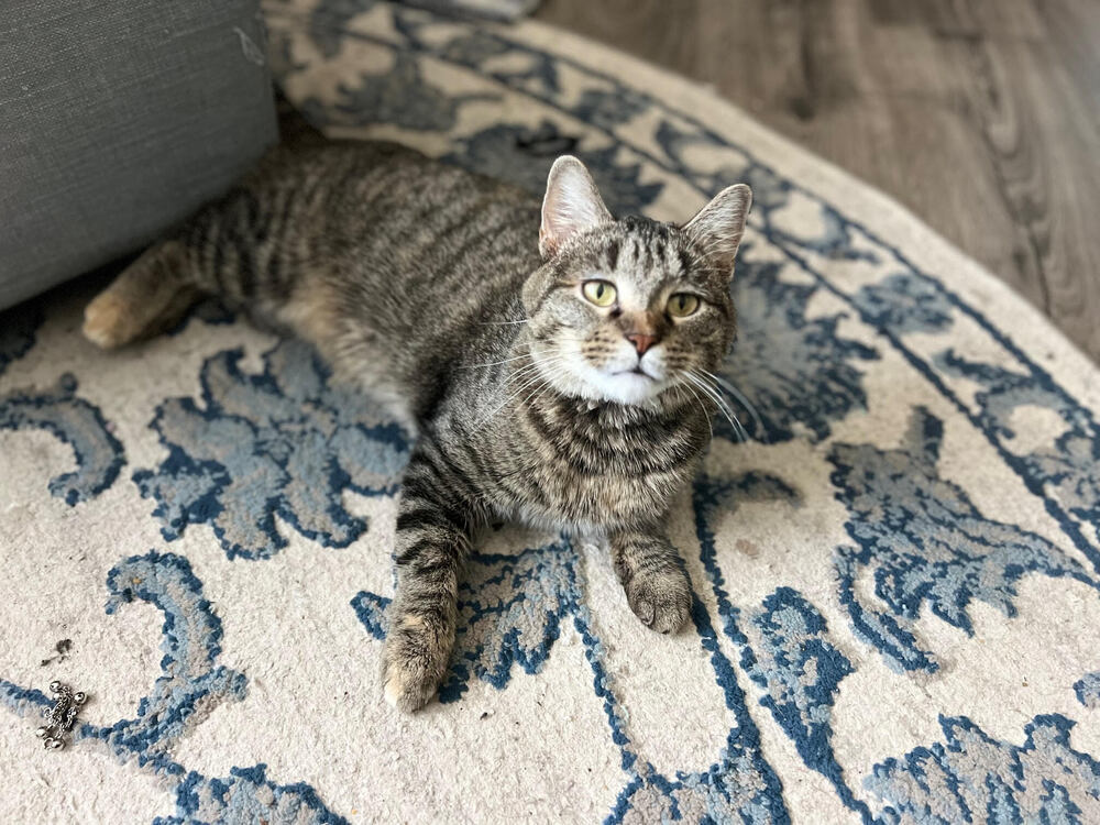 Rosie