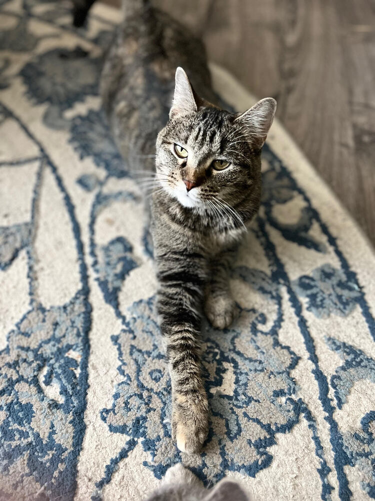 Rosie