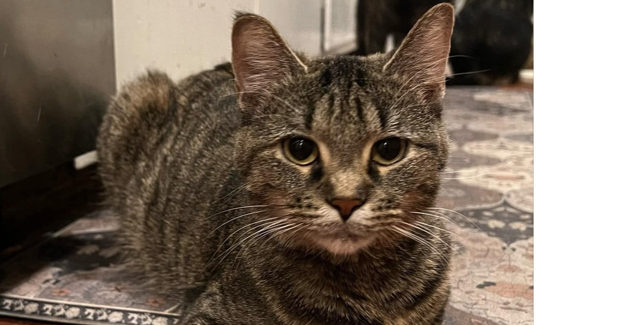 Rosie