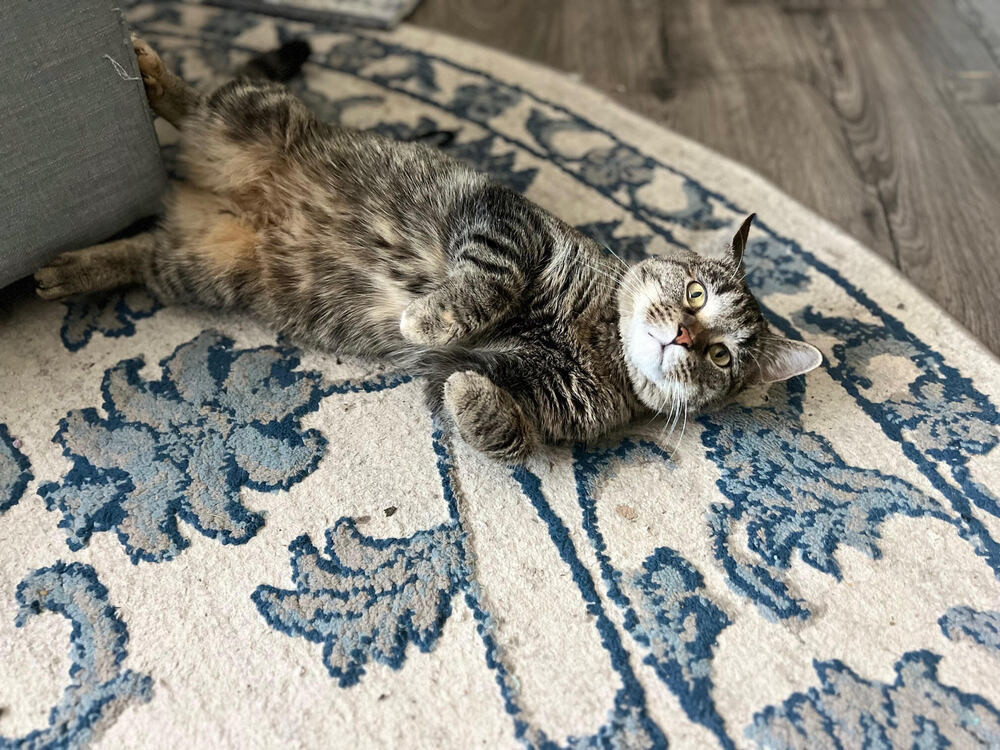 Rosie