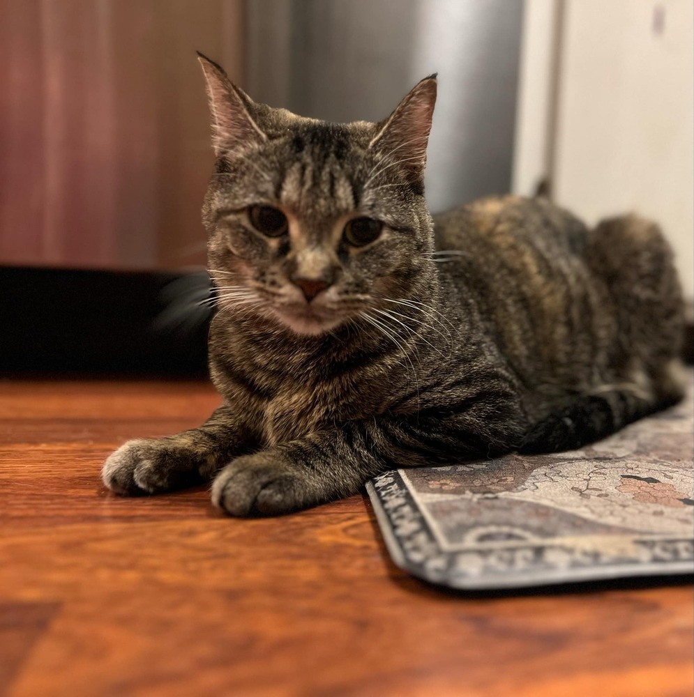 Rosie
