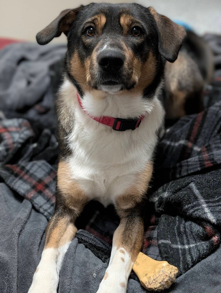 Mitzi