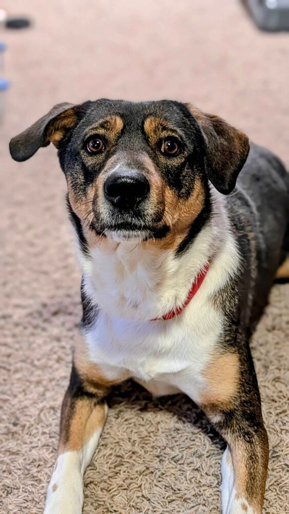 Mitzi