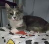 Delilah (CT) photo 2