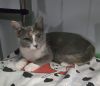 Delilah (CT) photo 3