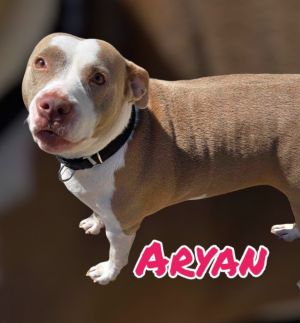 ARYAN