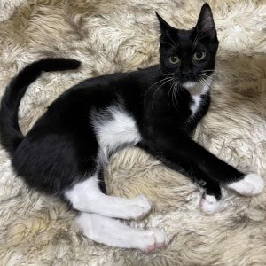 Meet McKenna - Your New Playful Partner in Crime Say hello to McKenna an adora