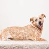 Speckles photo 2