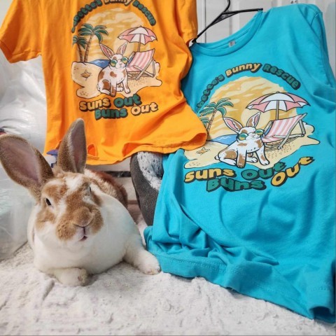 Carrot 5