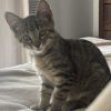 Eddie photo 4