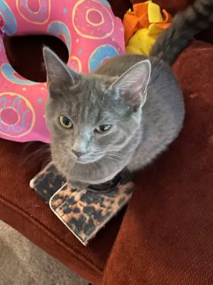 Winnifred