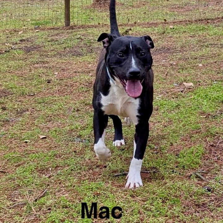 Mac 4