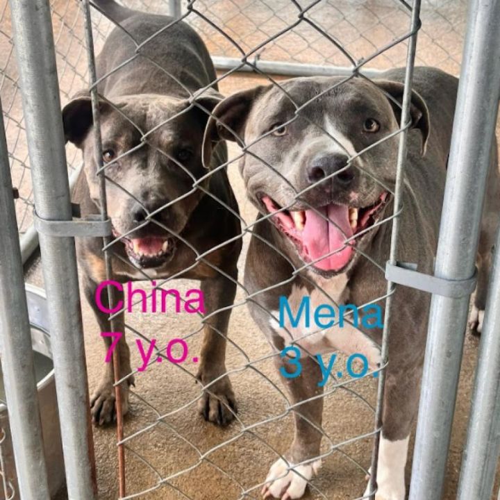 Mena 2