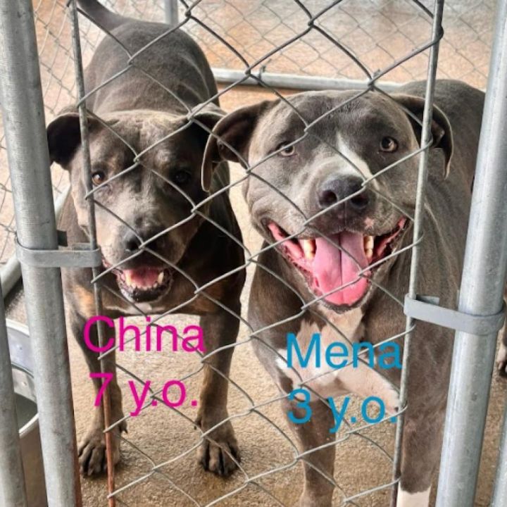 China 3