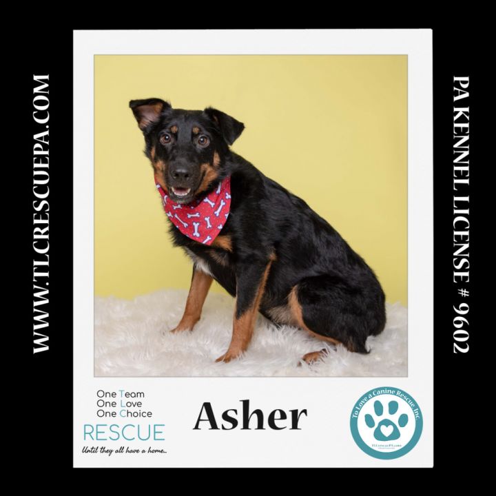 Asher 081724 2