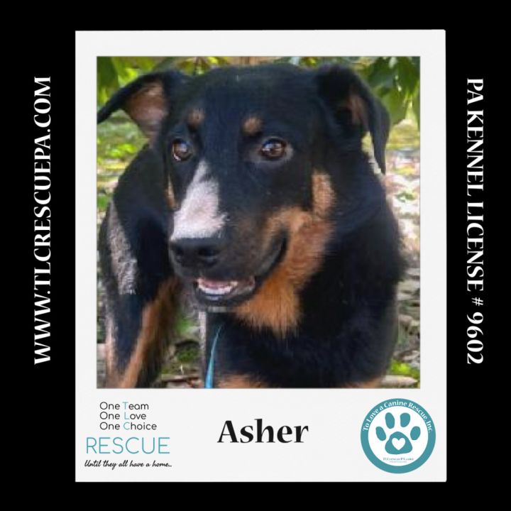 Asher 081724 3