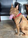 Stitch photo 1