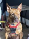 Stitch photo 2