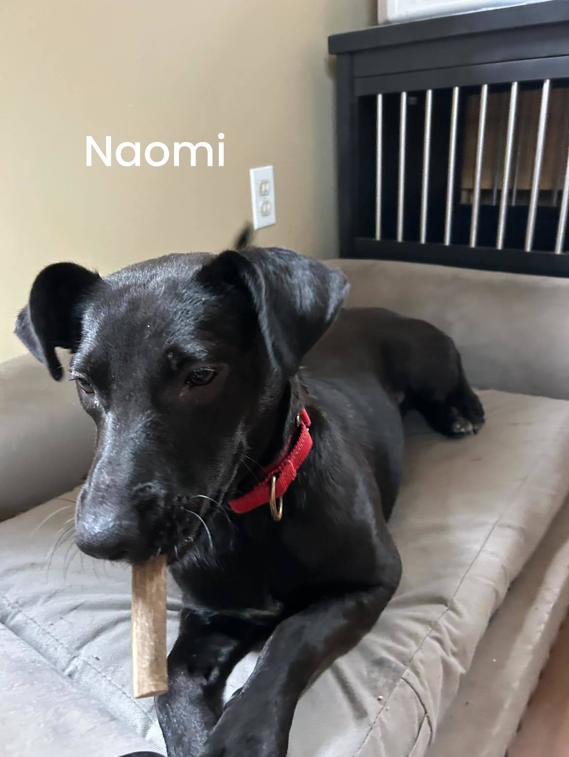 NAOMI