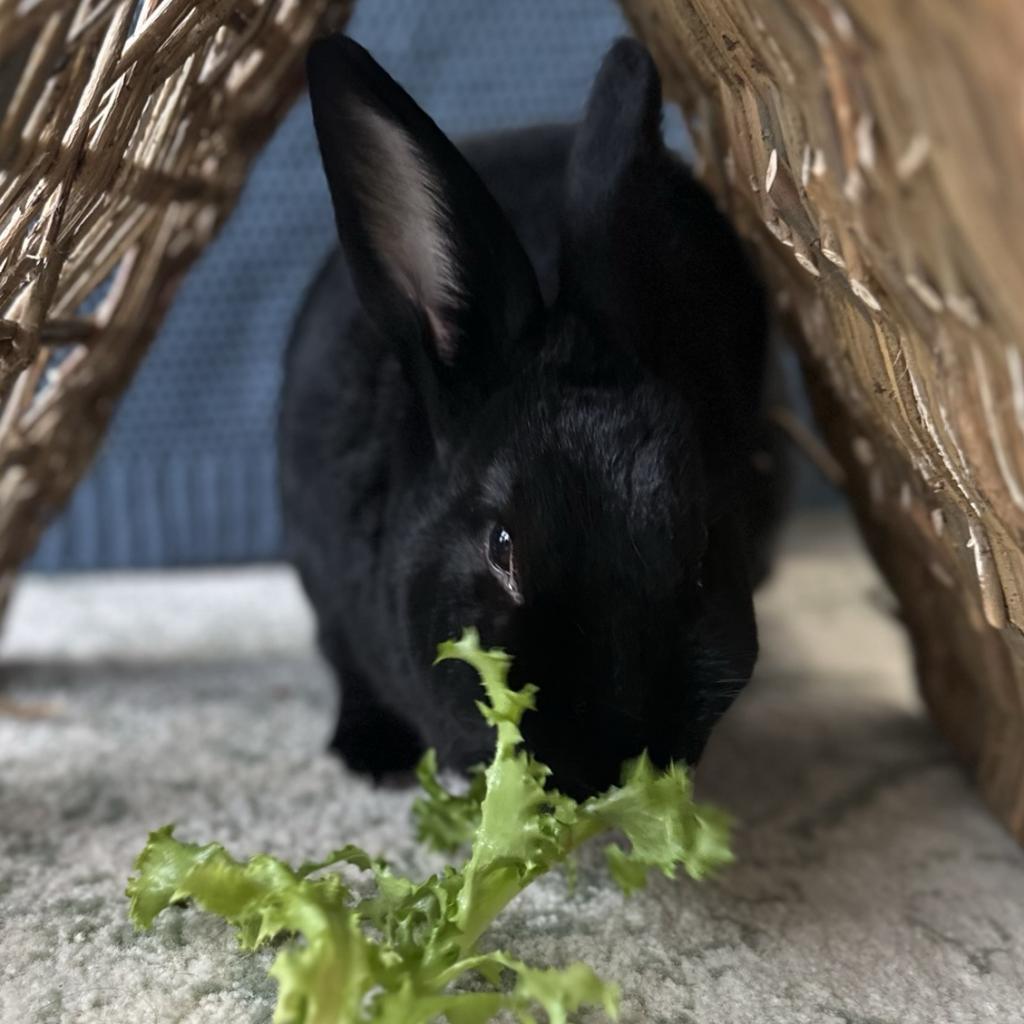 Charlie