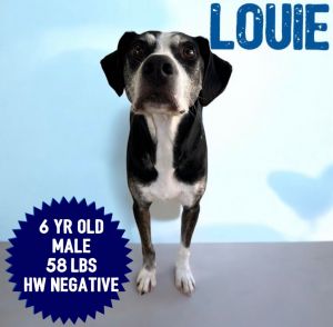 Louie